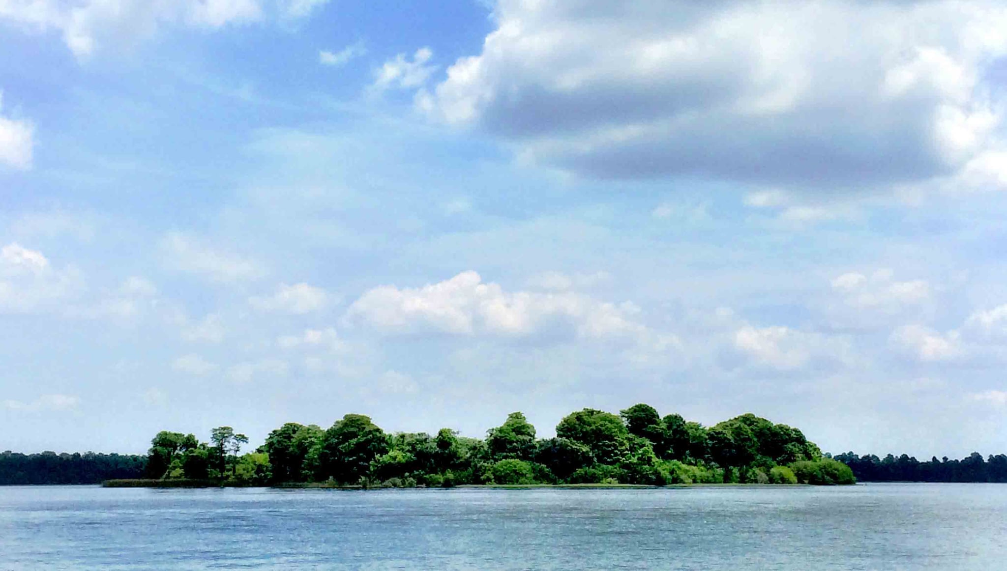 What Is Disney Discovery Island? POPSUGAR Smart Living
