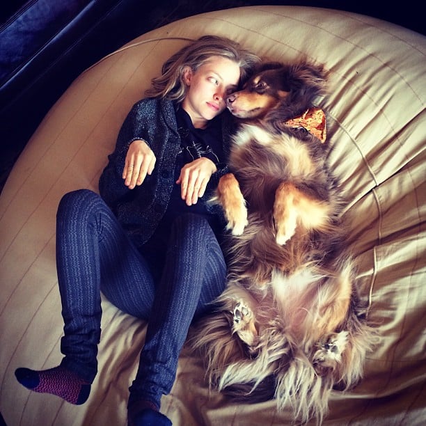 Amanda Seyfried and Her Dog Finn's Instagram Pictures POPSUGAR Celebrity