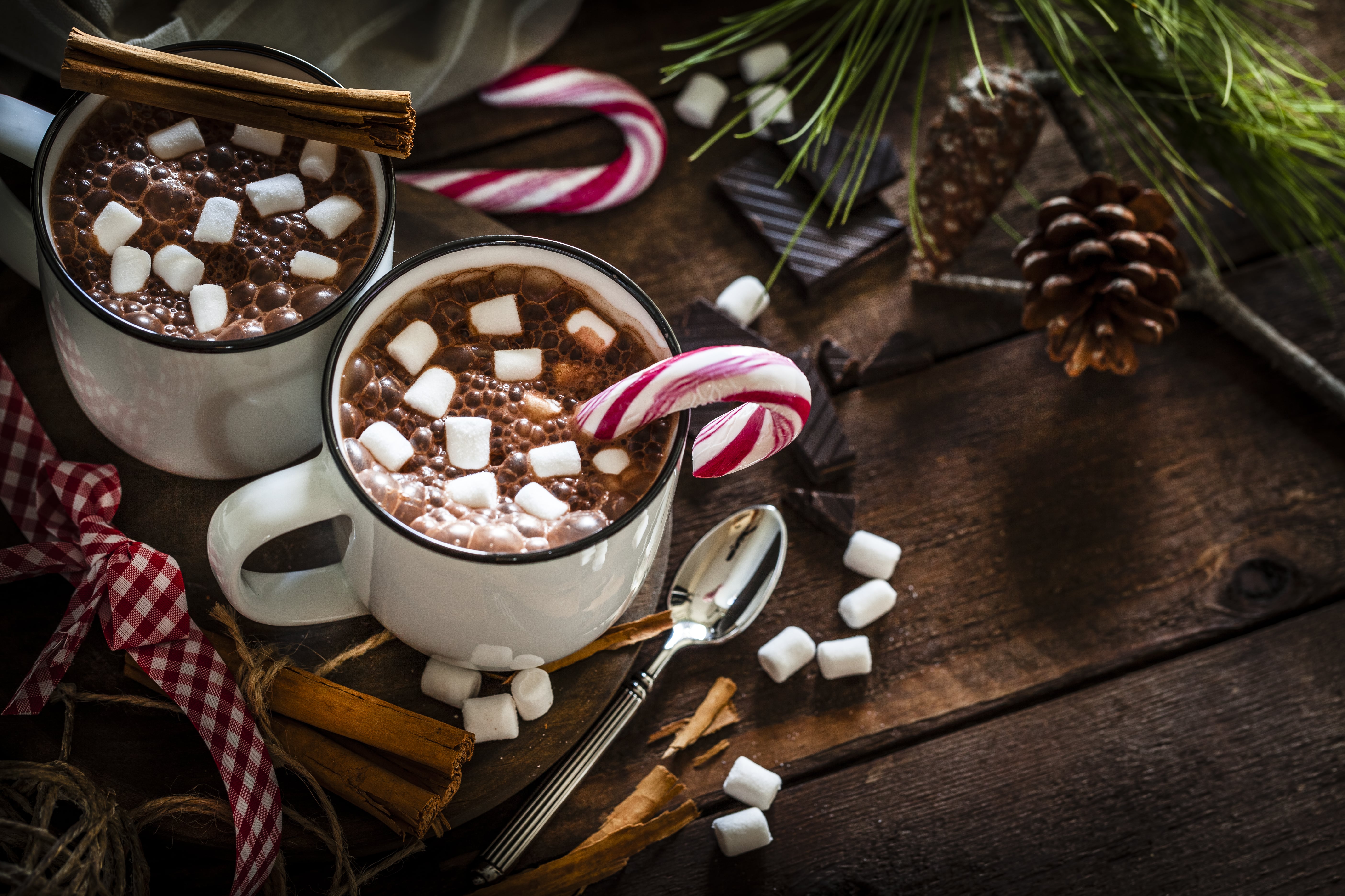 15 Warm Wishes And Marshmallow Kisses: Hot Chocolate Mug For Teen