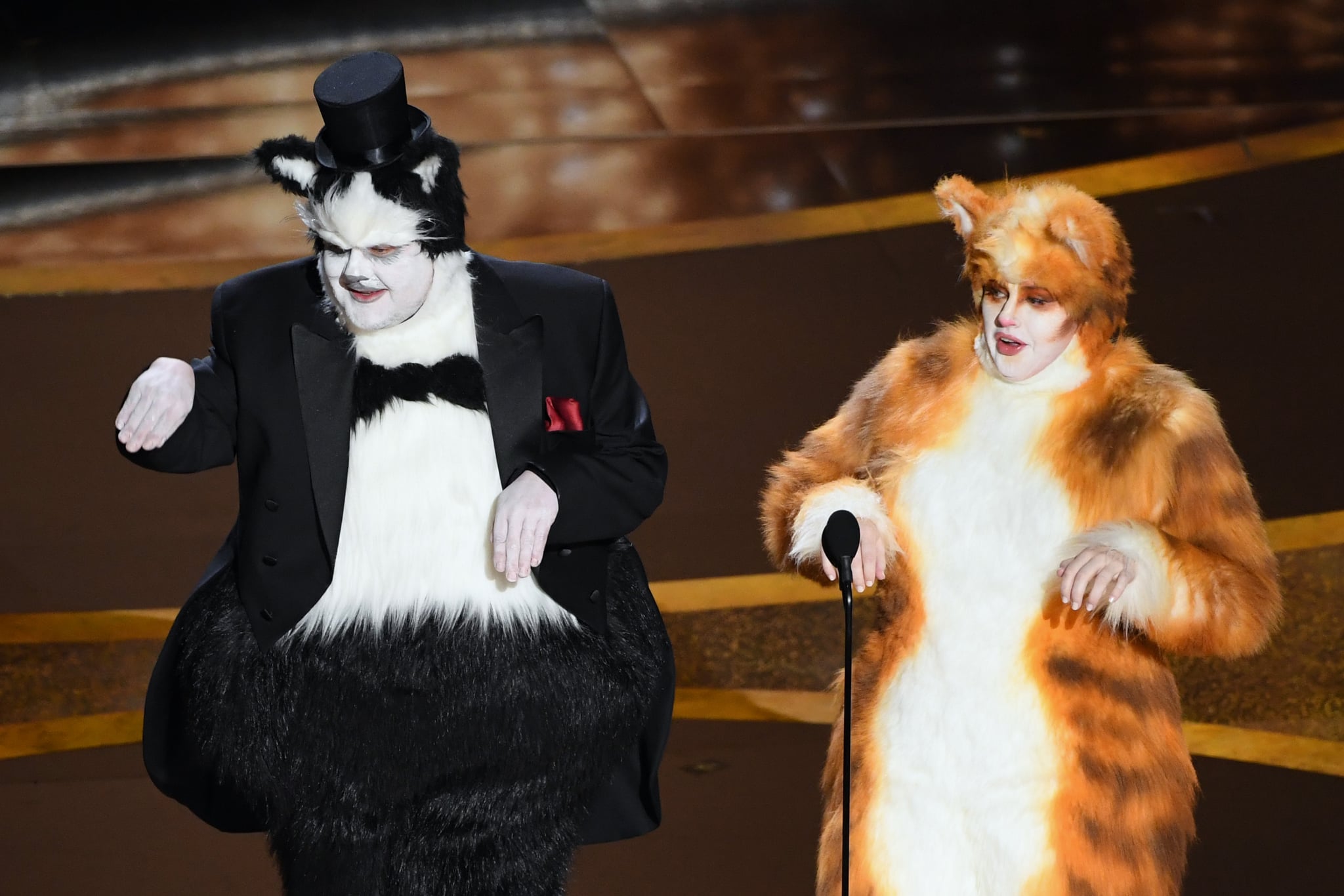 James Corden And Rebel Wilson Dressed As Cats At Oscars 2020 Popsugar Entertainment