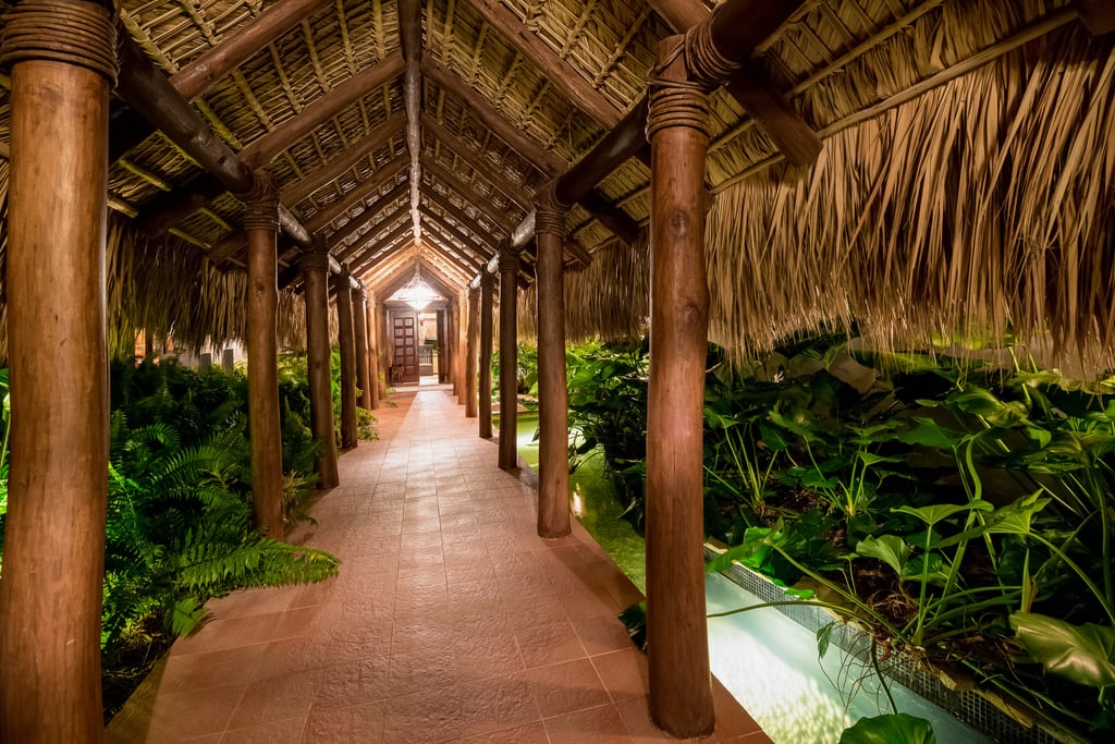 Janelle Monae's Punta Cana Villa