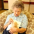 Try Not to Cry at These Adorable Photos of Elderly Patients Taking Care of Kittens