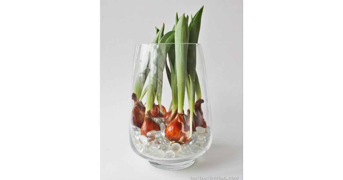 Blooming tulip vase — Sand & Sisal Sophisticated Easter Decorations