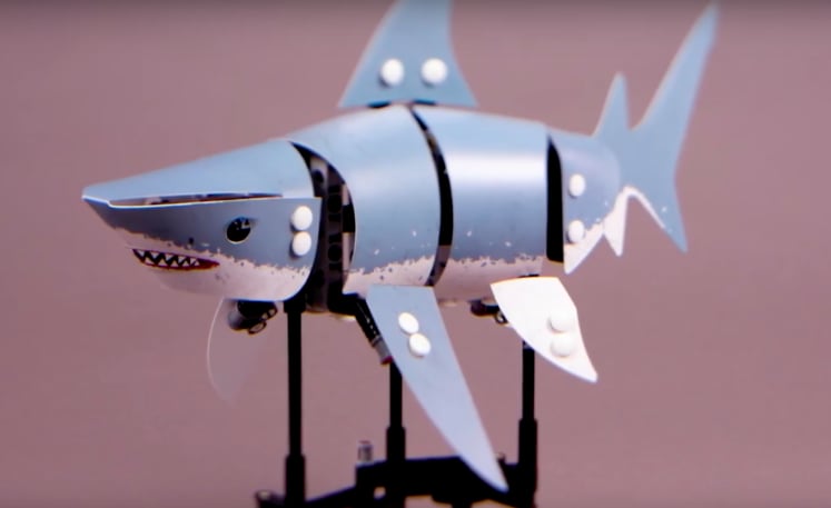 Shark Model