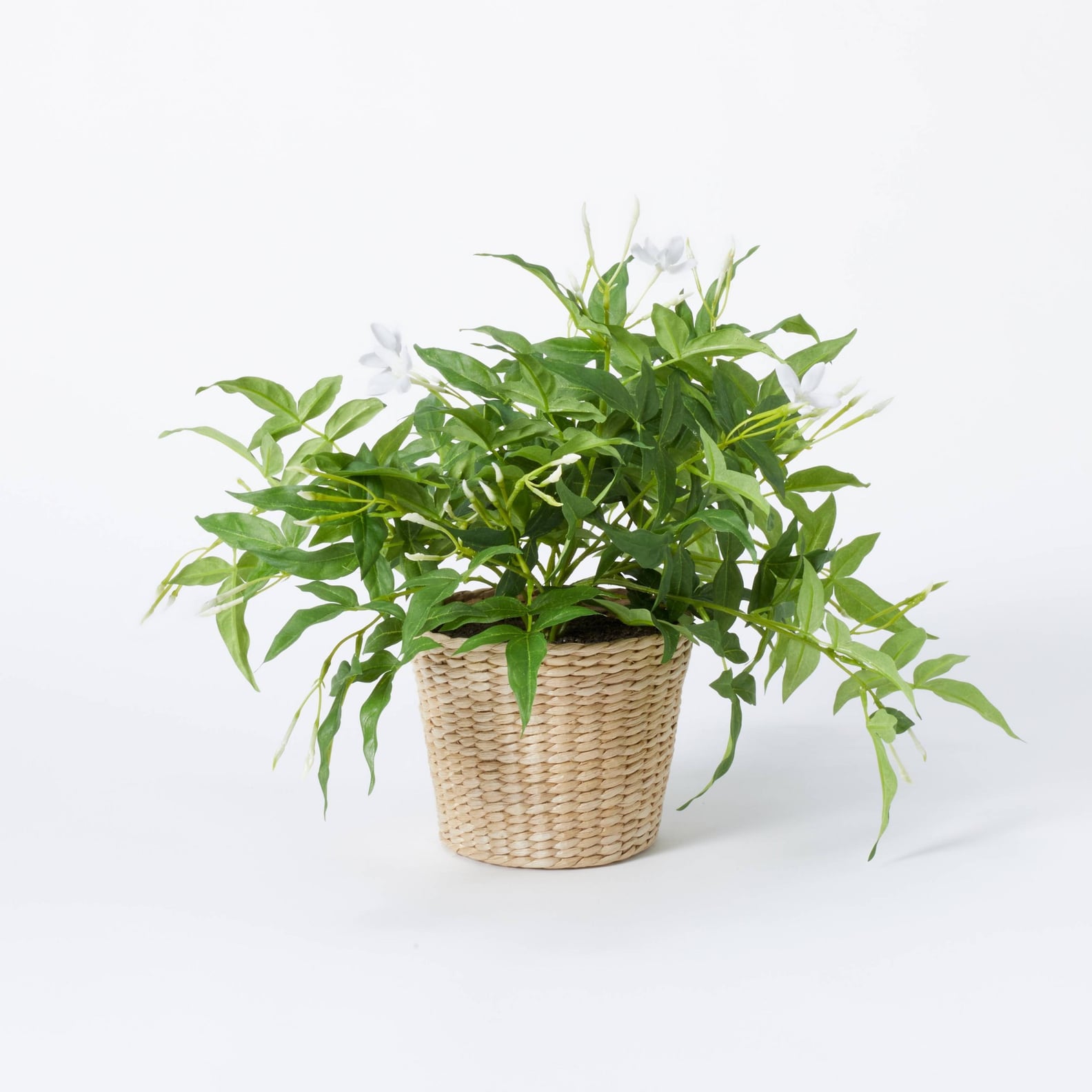 Best Fake Plants From Target 2022 POPSUGAR Home