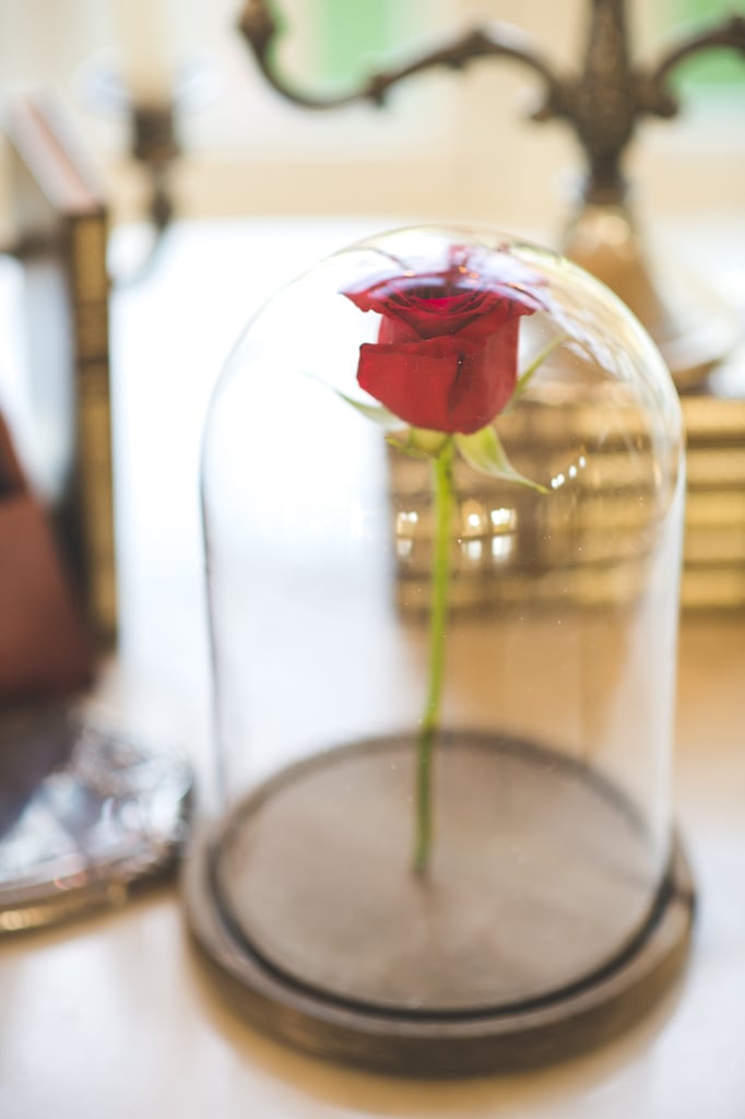 Beauty and the Beast Engagement Shoot