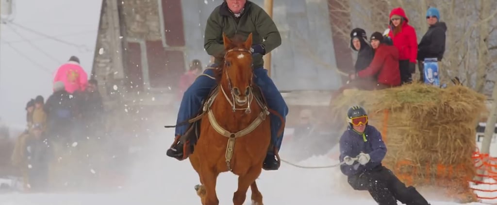 Why Skijoring Is the Best Winter Sport | Video