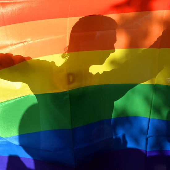 Rainbow Flag Emoji