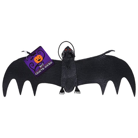 Hanging Black Bats