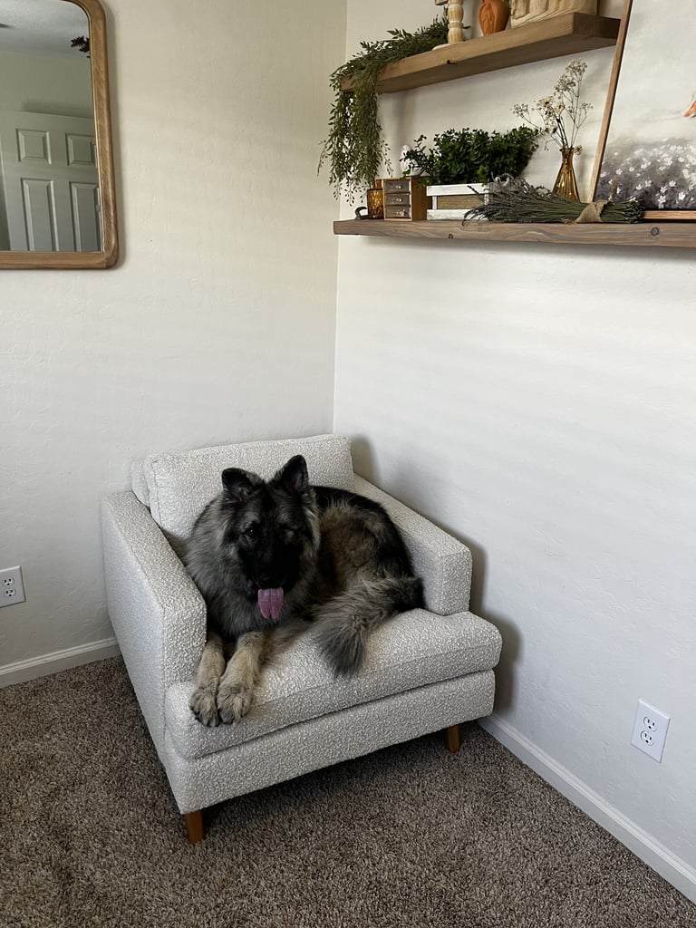 Best Bouclé Armchair
