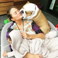 Everything We Know About Chrissy Teigen and John Legend's 8 Pets