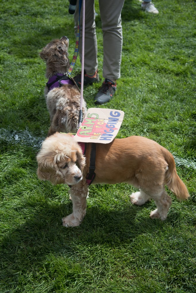 Lola, SF