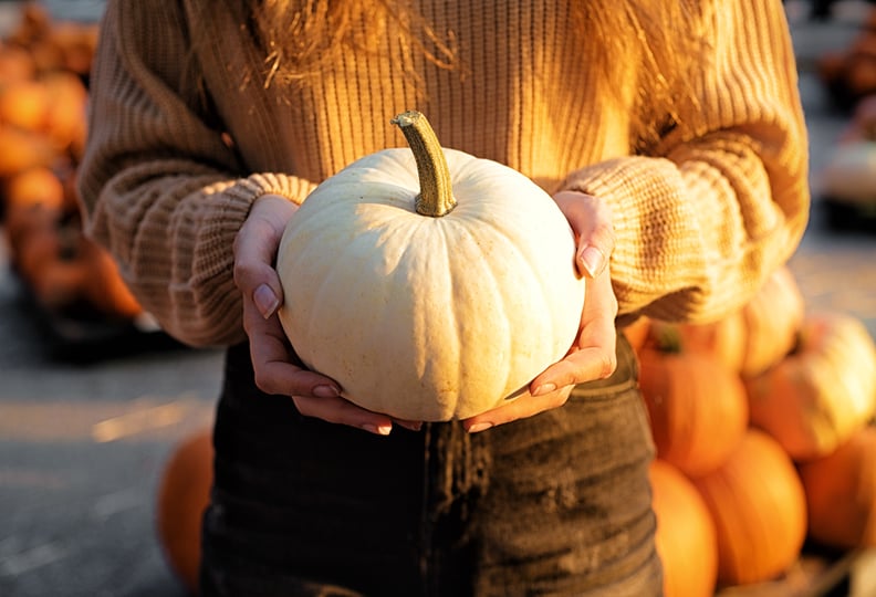 Why is my pumpkin white?