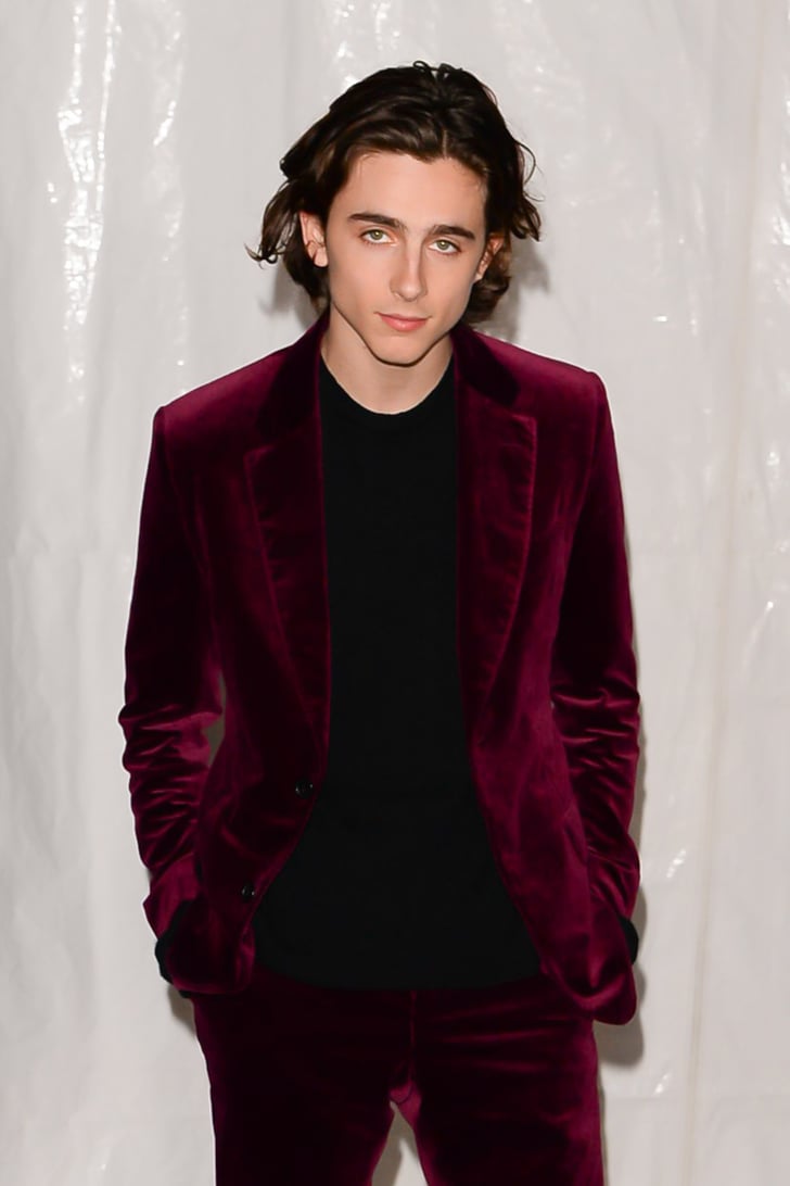 timothee chalamet pop funko
