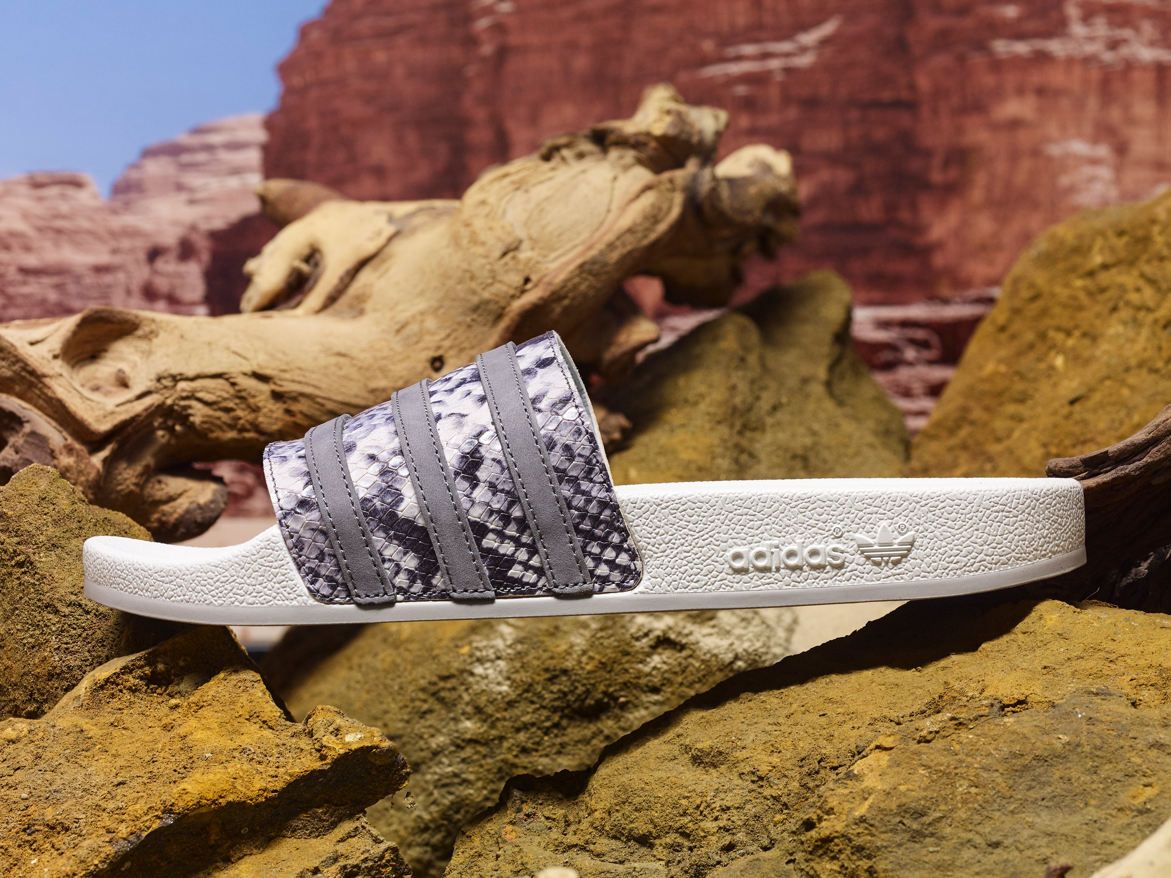 Adidas snakeskin slides sales