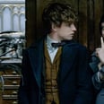 Will Fantastic Beasts Live Up to Harry Potter Fans' Lofty Expectations?