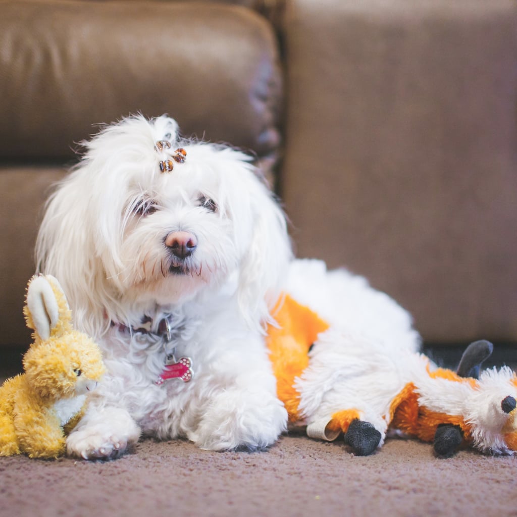Books To Help Your Kid Cope With The Death Of A Pet Popsugar Family
