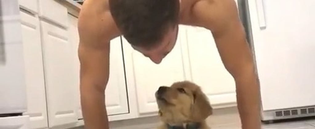 Man Working Out With His Golden Retriever Puppy