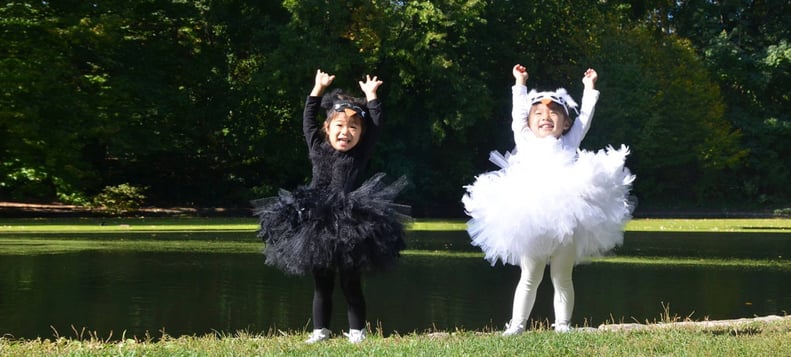 Swan Lake Ballerinas