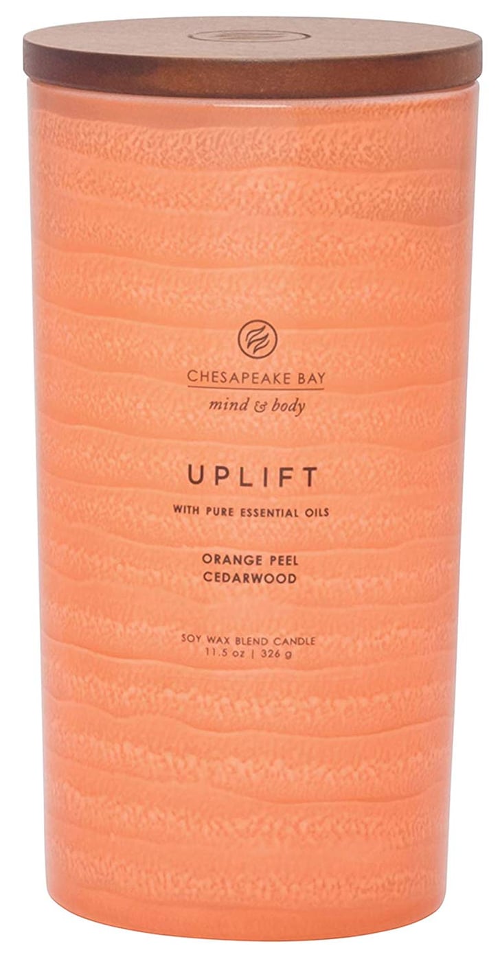 Chesapeake Bay Candle Mind and Body Serenity Scented Candle Best