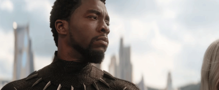 Black Panther aka T'Challa