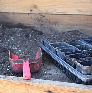 Gardening Tips For Beginners