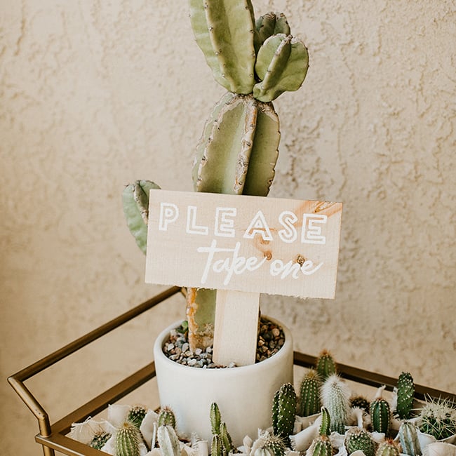 cactus themed baby shower