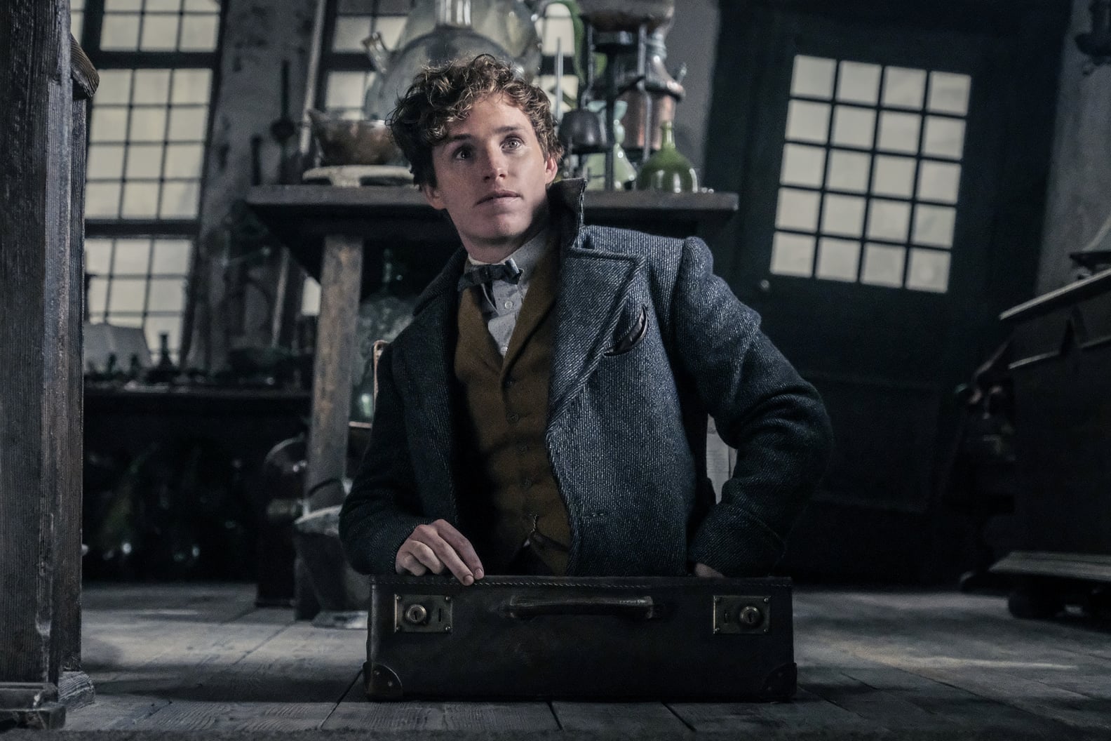 Who Plays Young Newt Scamander in Fantastic Beasts? POPSUGAR