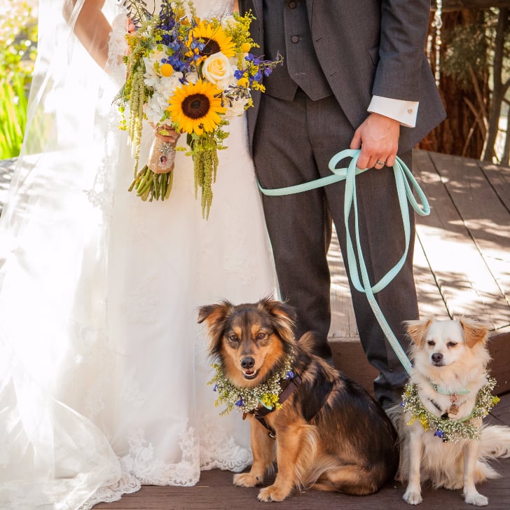 wedding gifts for dog lovers