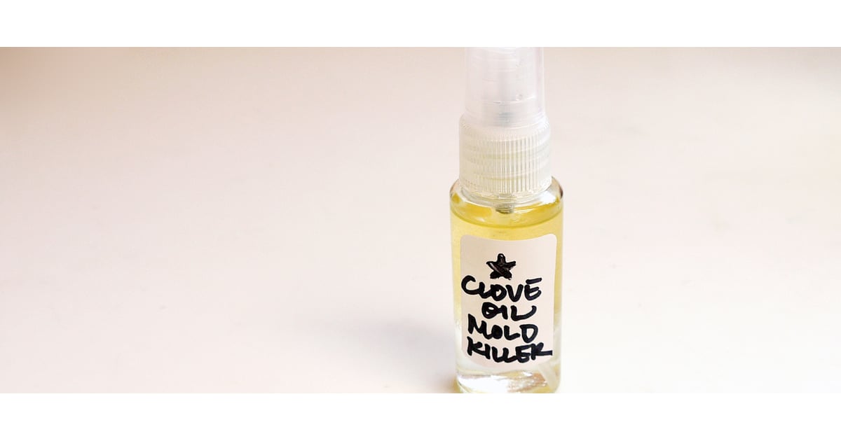 How to Make Clove Oil to Kill Mold POPSUGAR Smart Living