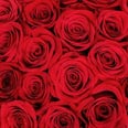Heads Up, Lovers! Costco Is Selling 50 Stem Roses For Valentine's Day For Just $40