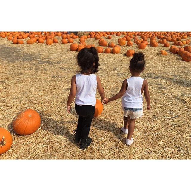 North West at Pumpkin Patch 2015 | Pictures