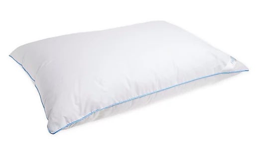 Nestwell凉爽和舒适的标准/双人床枕头
