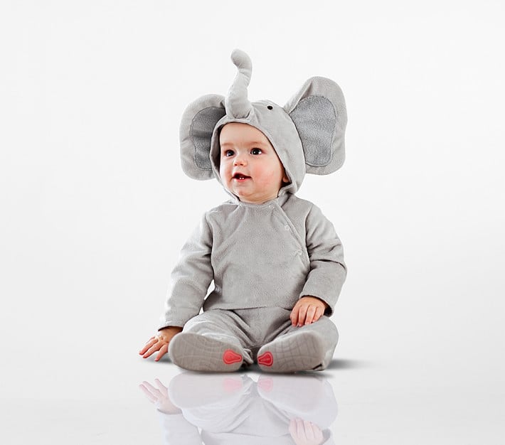 The Cutest Elephant On the Block: Baby Elephant Halloween Costume