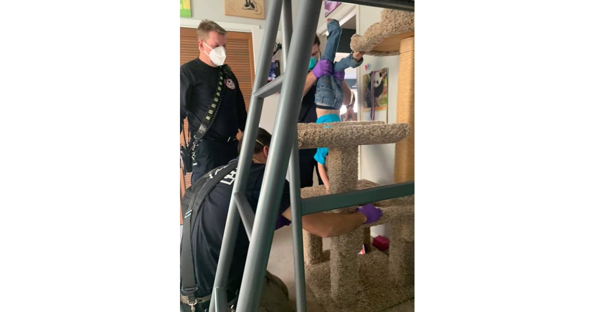Boy Who Got His Head Stuck in a Cat Tree Funny Photos POPSUGAR UK