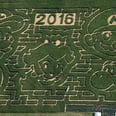 This Incredible Corn Maze Might Make Old-School Nintendo Fans a Little Emotional