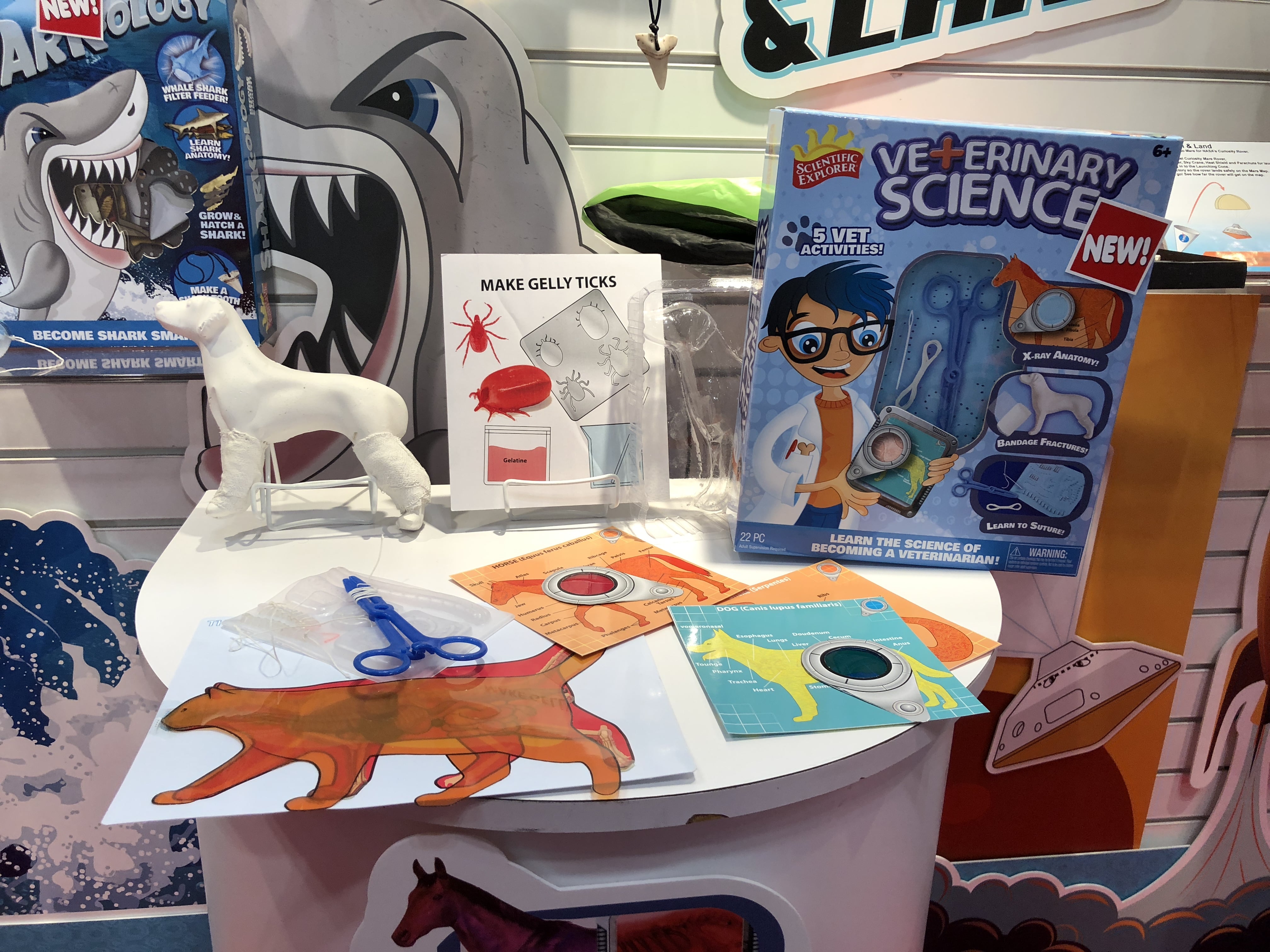 Scientific skeletal Explorer Veterinary Science