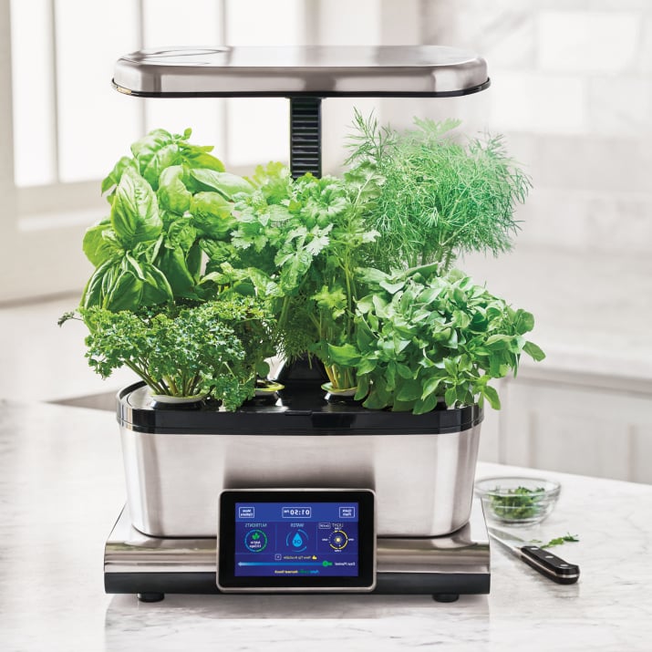 AeroGarden TechSavvy Gardening Products POPSUGAR Home Photo 6