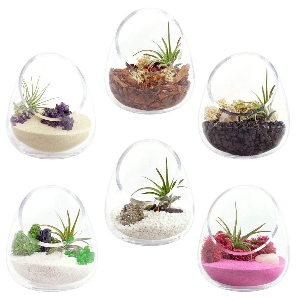 Zen Gem Cut Glass Terrarium