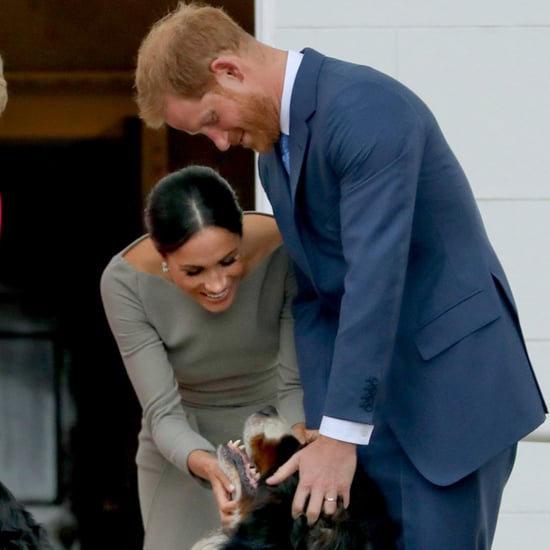 What Did Prince Harry and Meghan Markle Name Their Dog?