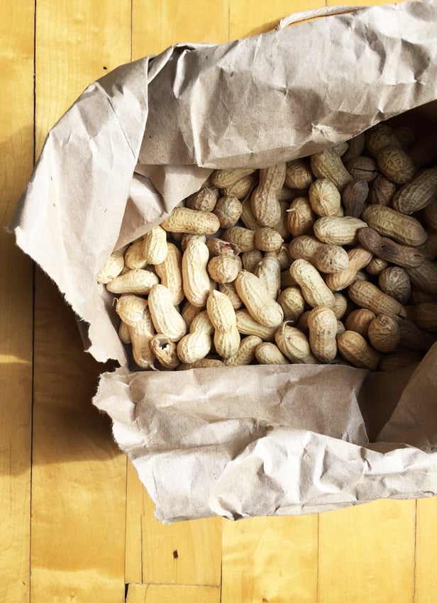 Roasted Peanuts