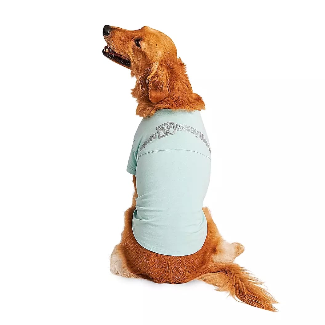 Walt Disney World Arendelle Aqua Spirit Jersey for Dogs So