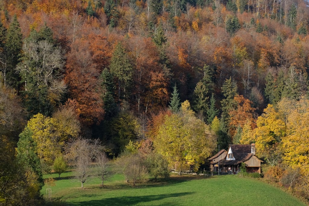 Renting a cabin in the woods.