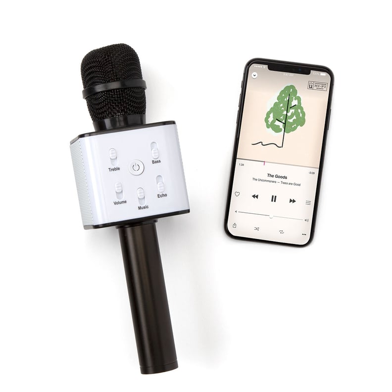 For Karaoke Lovers: Karaoke Microphone Speaker