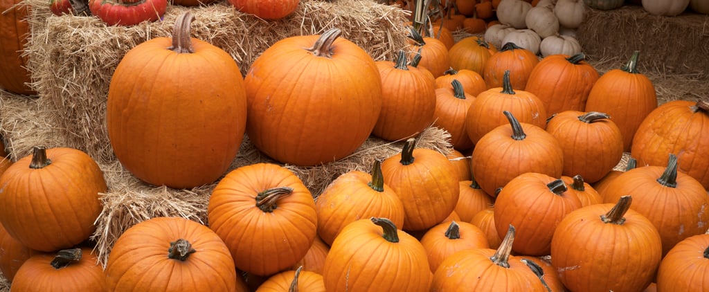 How to Use Leftover Pumpkin Seeds and Pulp