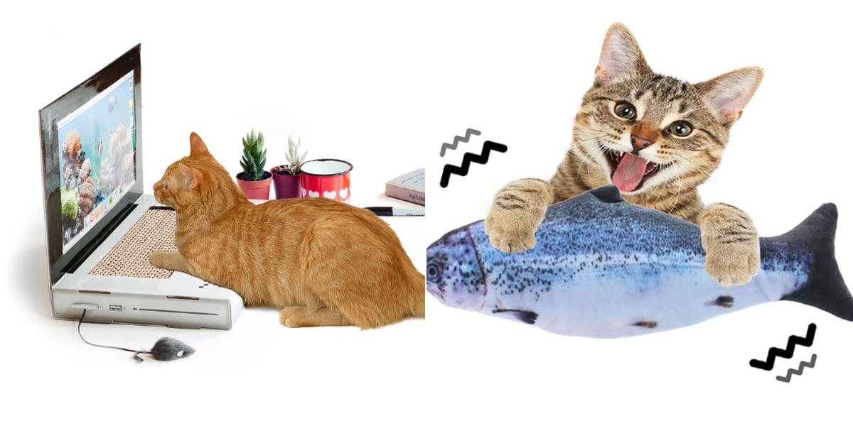 Best Toys to Keep Cats and Kittens Entertained POPSUGAR Pets