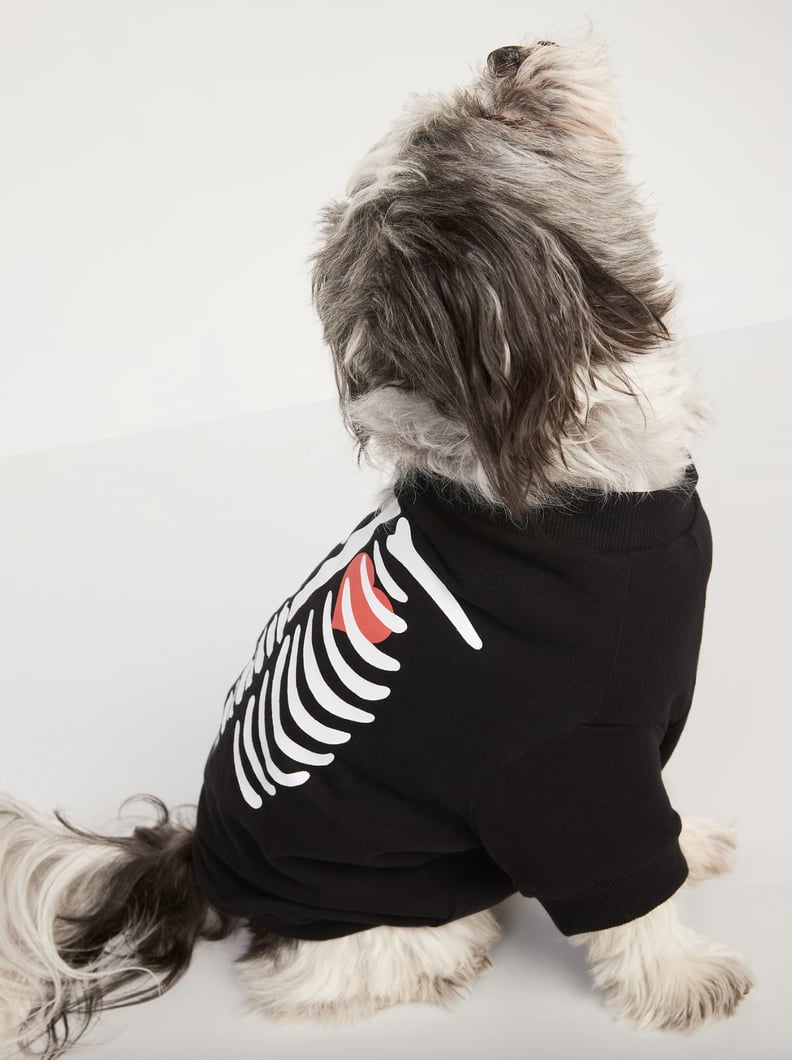 Old Navy Matching Halloween Graphic T-Shirt For Dogs
