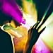 What’s Behind the Surge in Magic Mushroom Popularity