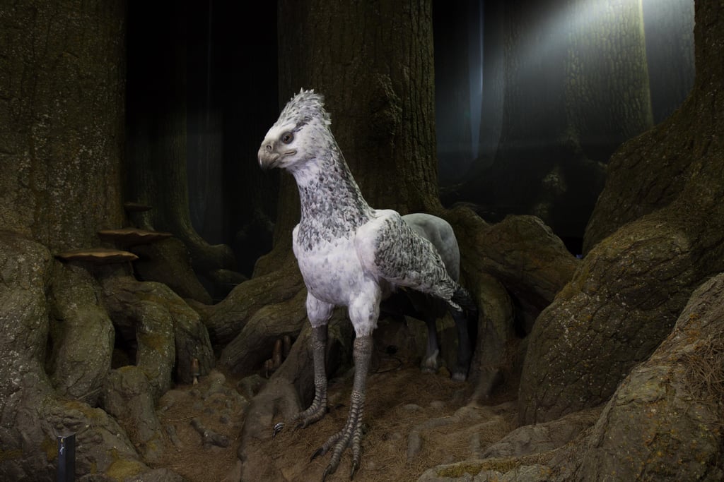 Warner Bros. said that visitors will encounter "a full-size model of Buckbeak, which is new to the tour, and have the opportunity to bow to the majestic creature."