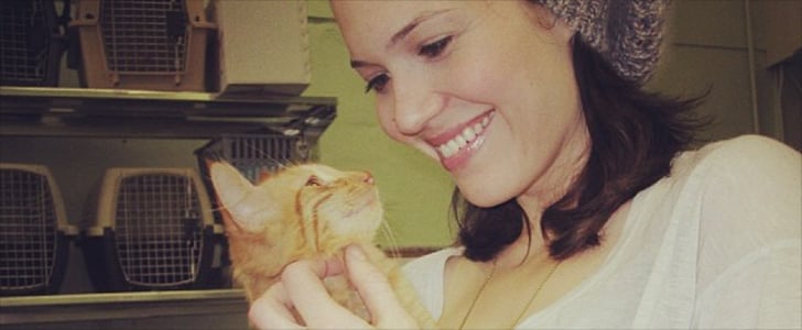 Mandy Moore's Cats